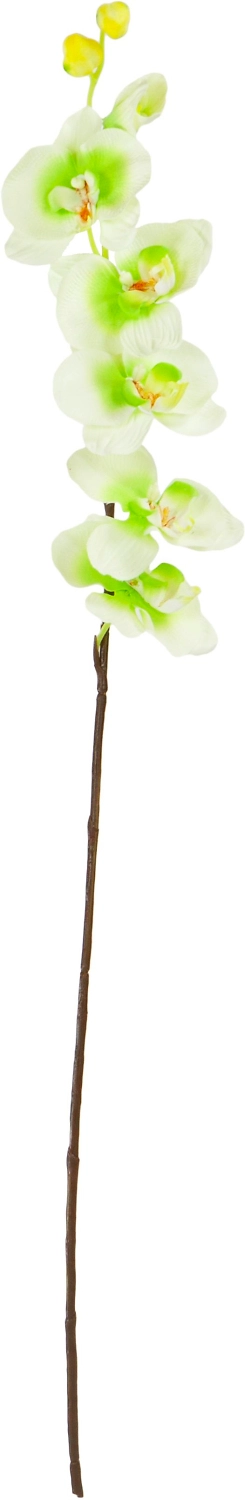 Искусственный цветок Фаленопсис кремово-зеленый 80 см