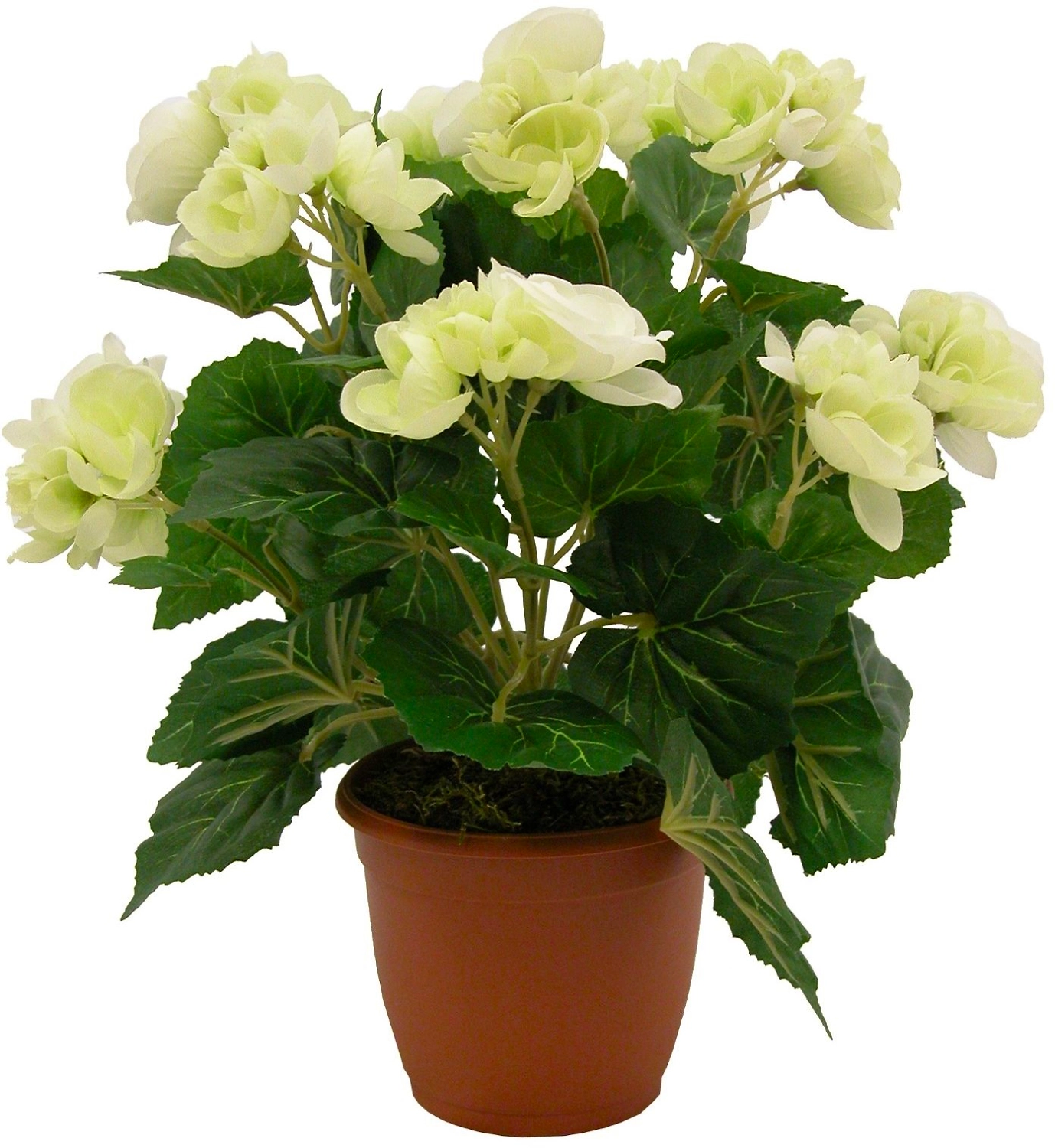 Искусственный цветок бегония кремовая 33 см в горшке