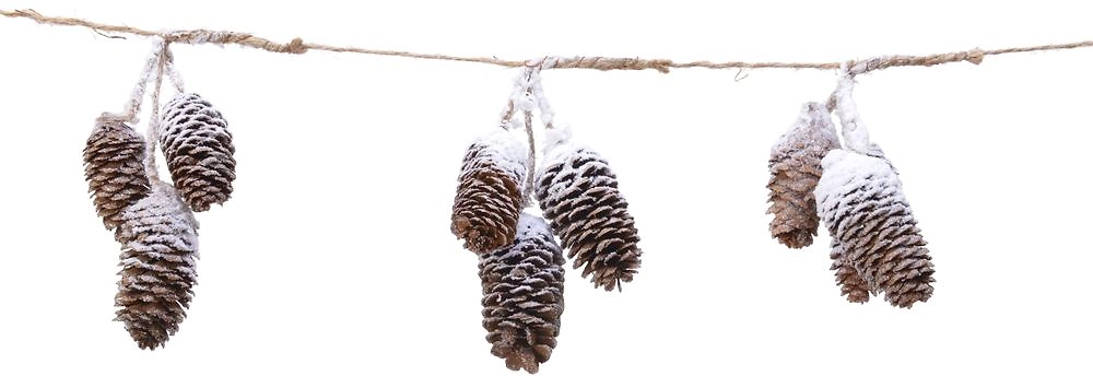 Гирлянда с шишками на джуте натуральная 105 см в ассортименте