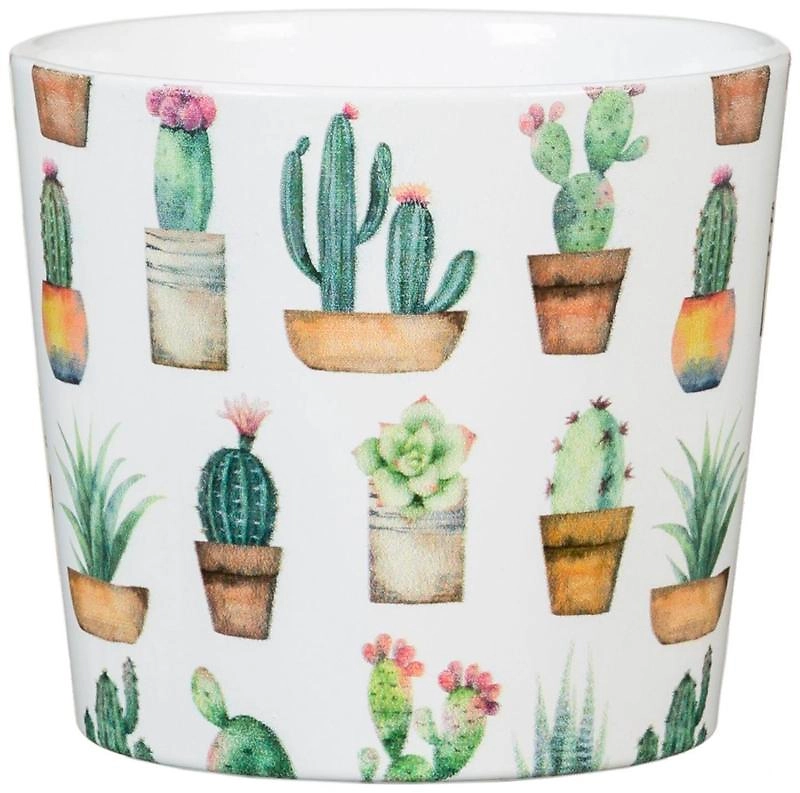 Кашпо Scheurich Кактус 870 d11 см керамическое белое