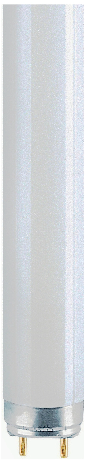 Люминесцентная лампа OSRAM G13 Т8 18 Вт 1050 лм 6500 К трубка