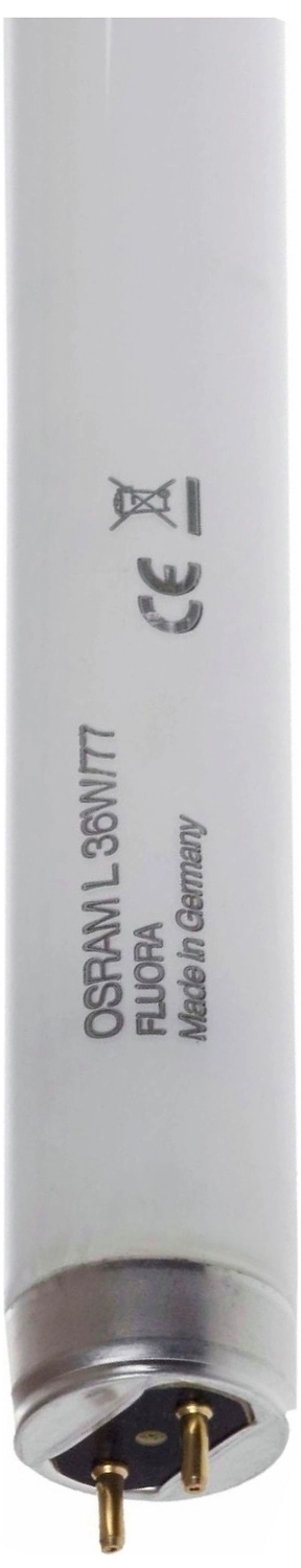 Люминесцентная лампа OSRAM FLIORA G13 Т8 36 Вт 1400 лм 7700 K трубка