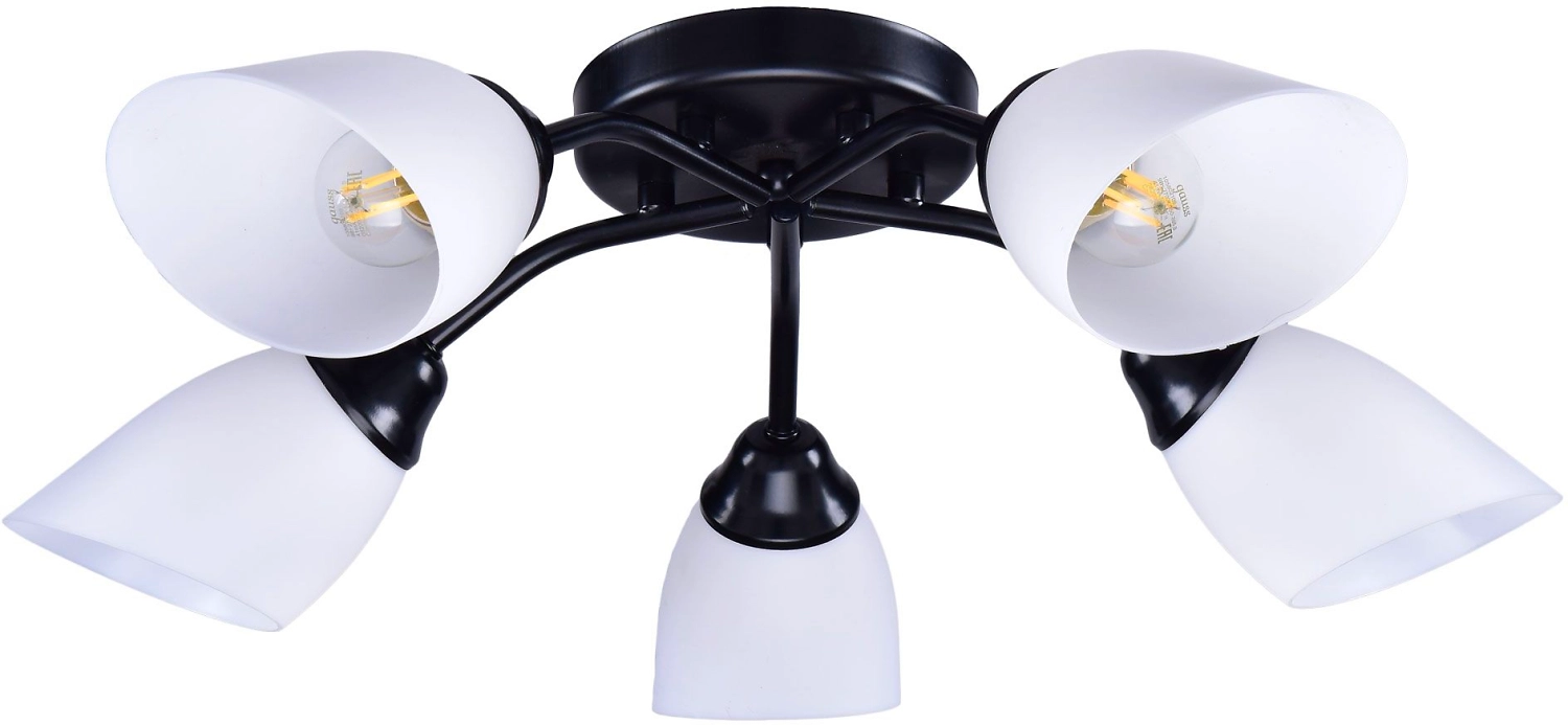 Потолочная люстра РОССвет РС21396 BK/5C