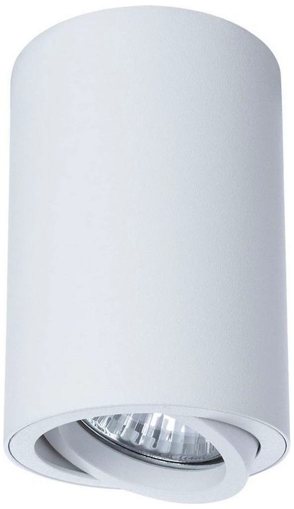Потолочный светильник ARTE Lamp SENTRY A1560PL-1WH