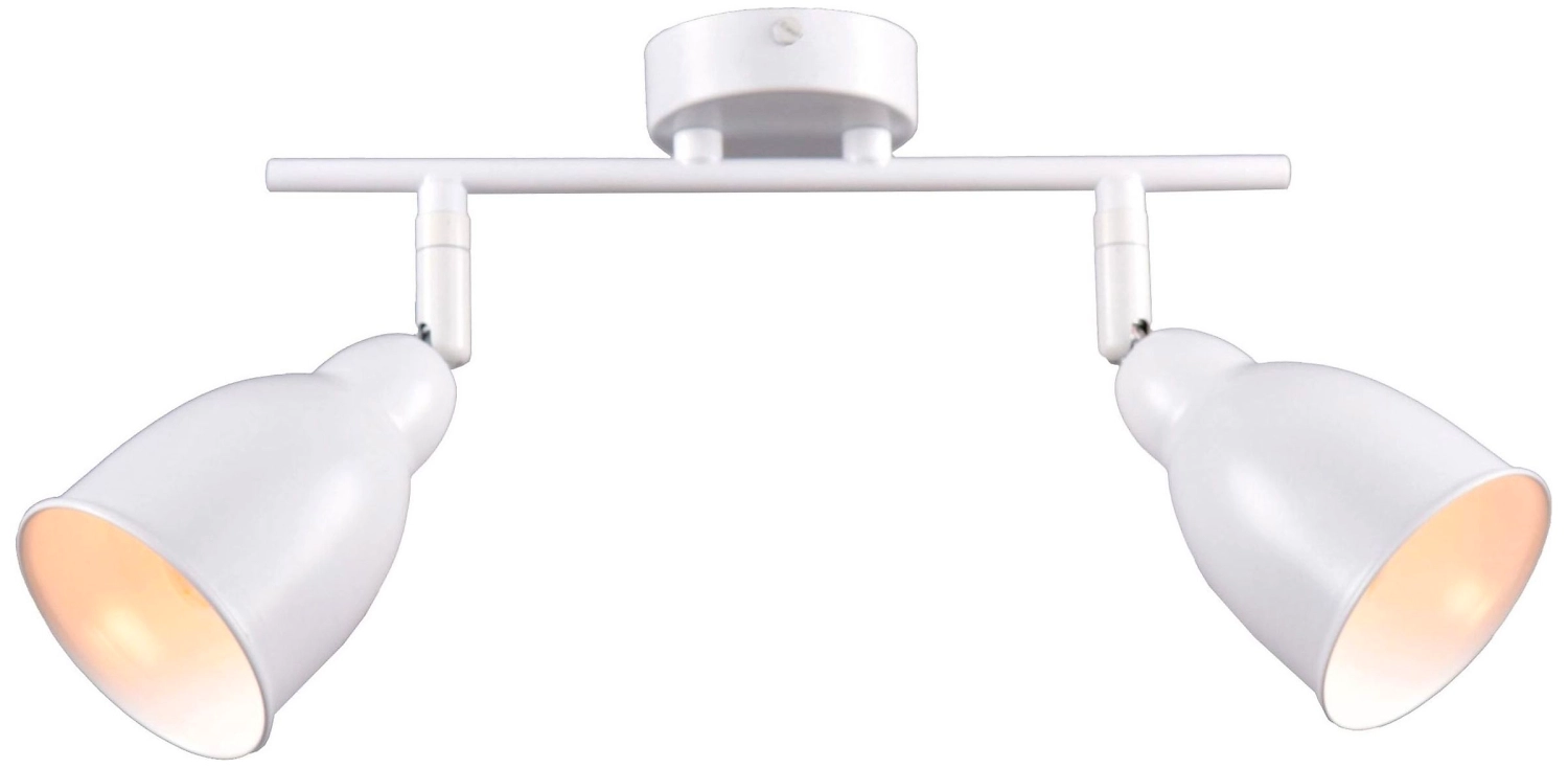 Потолочный светильник РОССвет Графика РС20788 WT/2C с поворотным плафоном