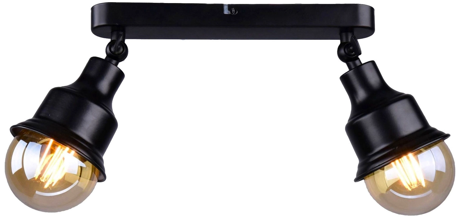 Потолочный светильник РОССвет Ария РС20868 BK/2C с поворотным плафоном