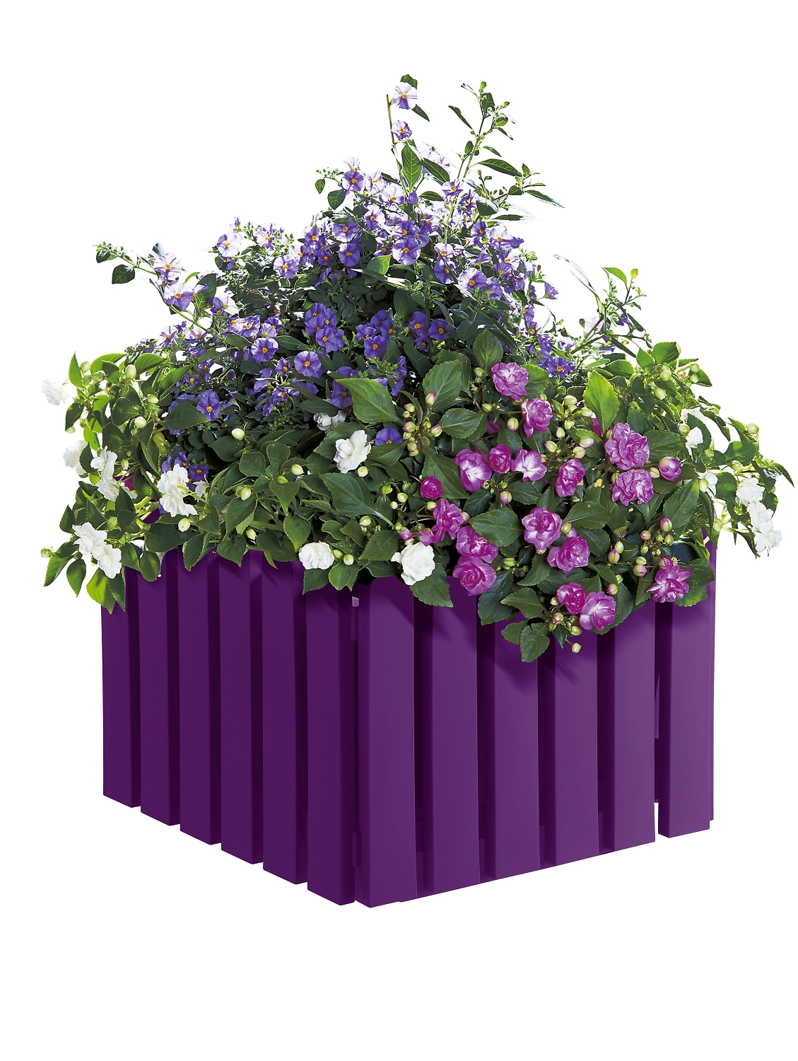 Кашпо EMSA Landhaus квадратное фиолетовое 38х38 см