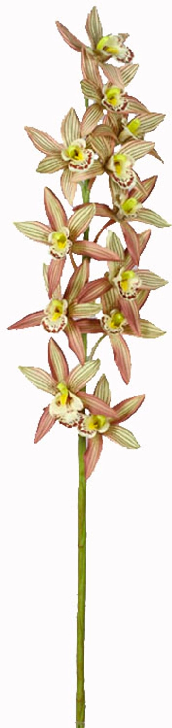 Искусственное растение Цимбидиум 98 см зелено-розовый