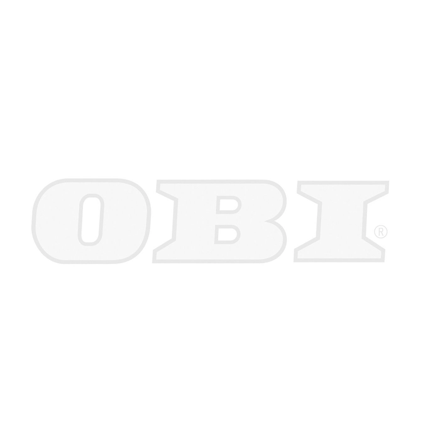 Луковицы лилии Вдохновение 10 шт