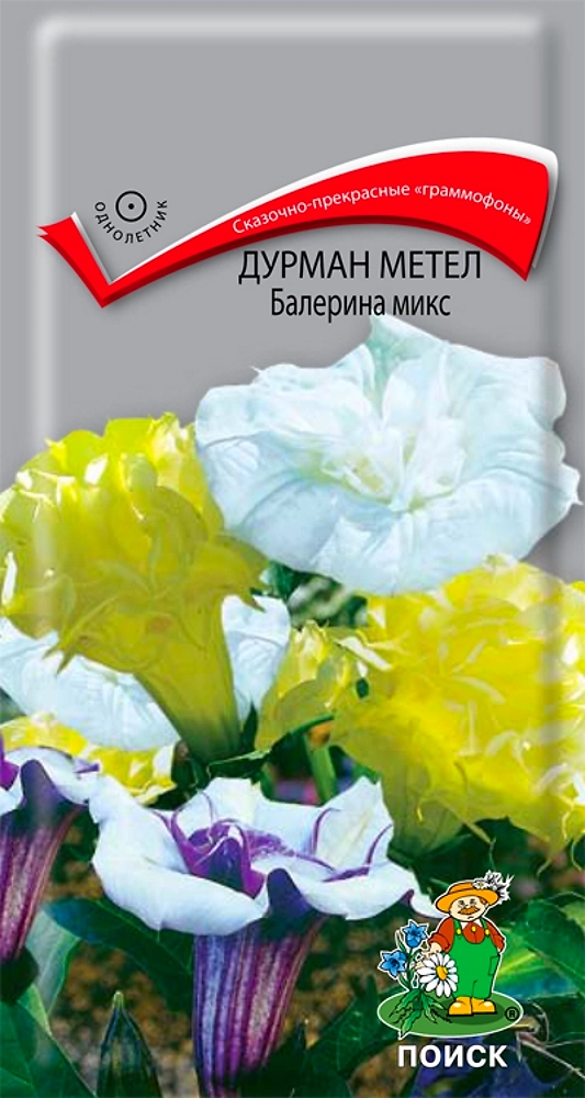 Дурман метел Балерина в ассортименте