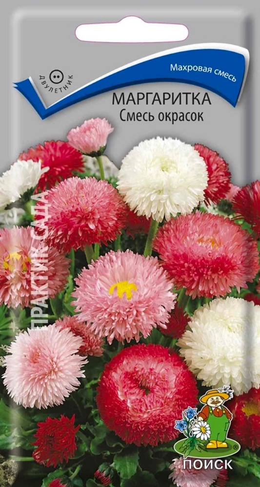 Маргаритка Смесь окрасок