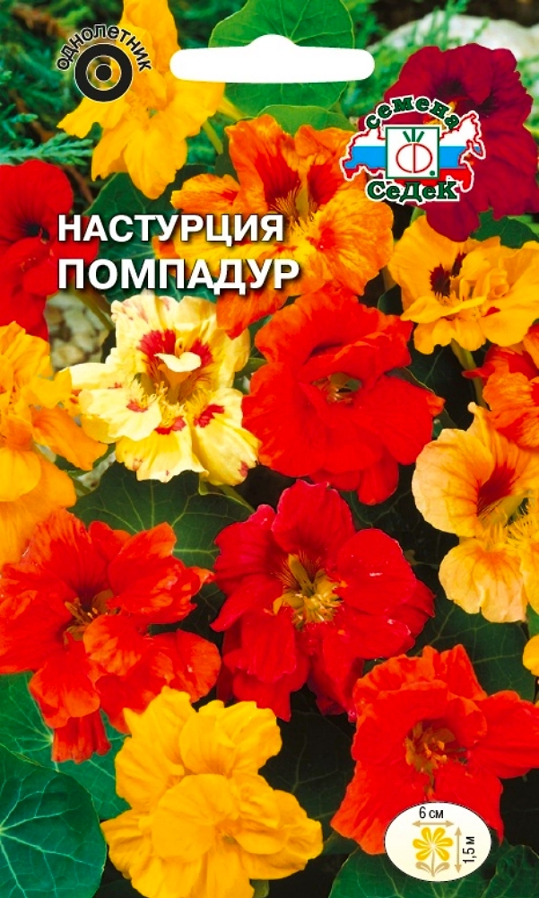 Семена Настурция Помпадур СеДек
