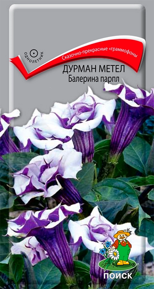Семена Дурман метел Балерина Парпл Поиск 3 шт