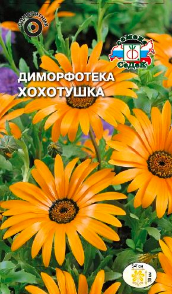 Семена Диморфотека Хохотушка смесь СеДек