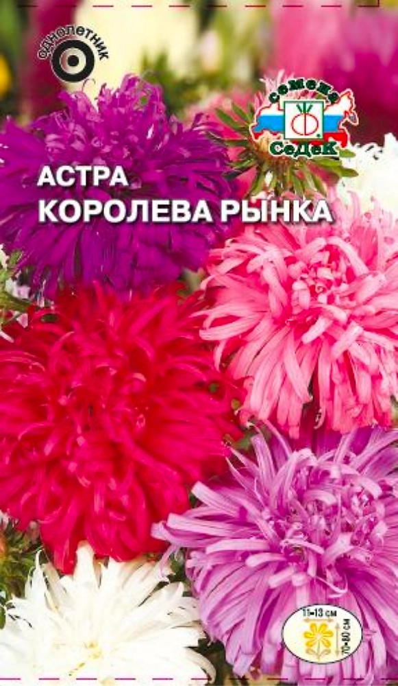 Астра Королева Рынка СеДек