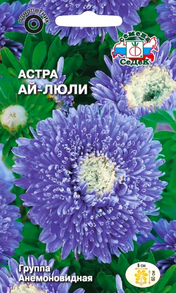 Астра Ай-люли СеДек