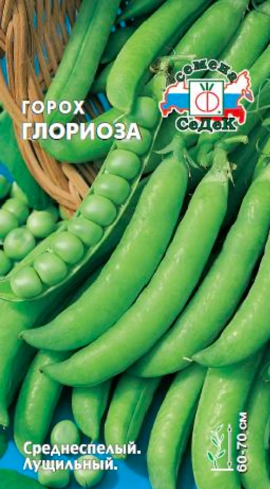 Семена Горох Глориоза СеДеК