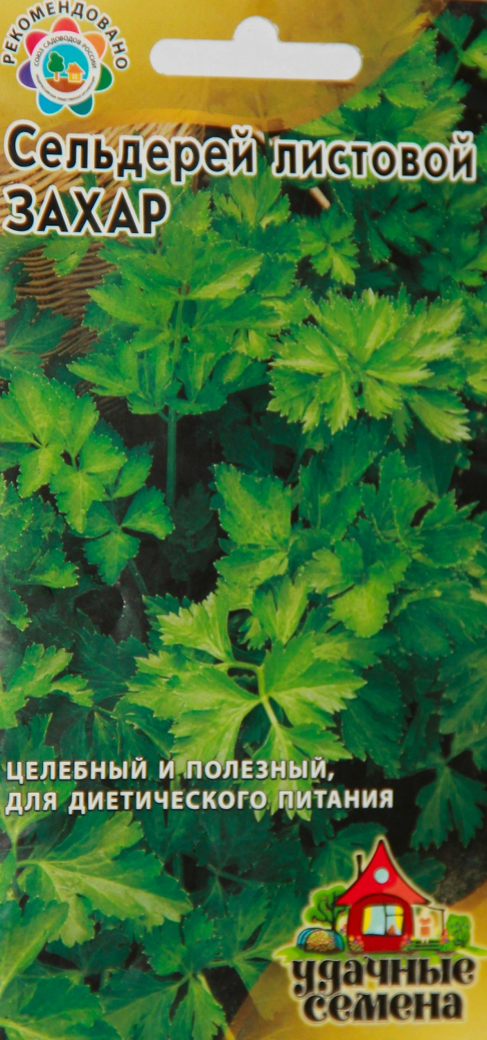 Семена Сельдерей Захар листовой Удачные семена