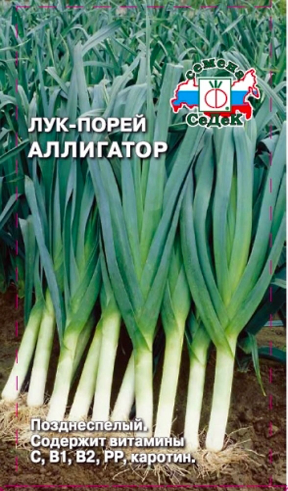 Семена Лук порей Аллигатор СеДеК 1г