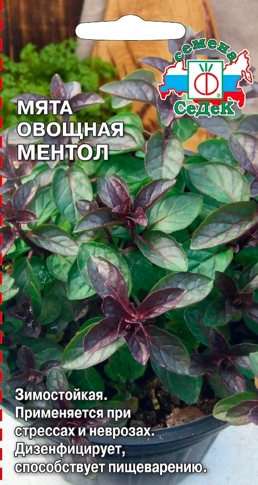 Семена Мята СеДеК Ментол