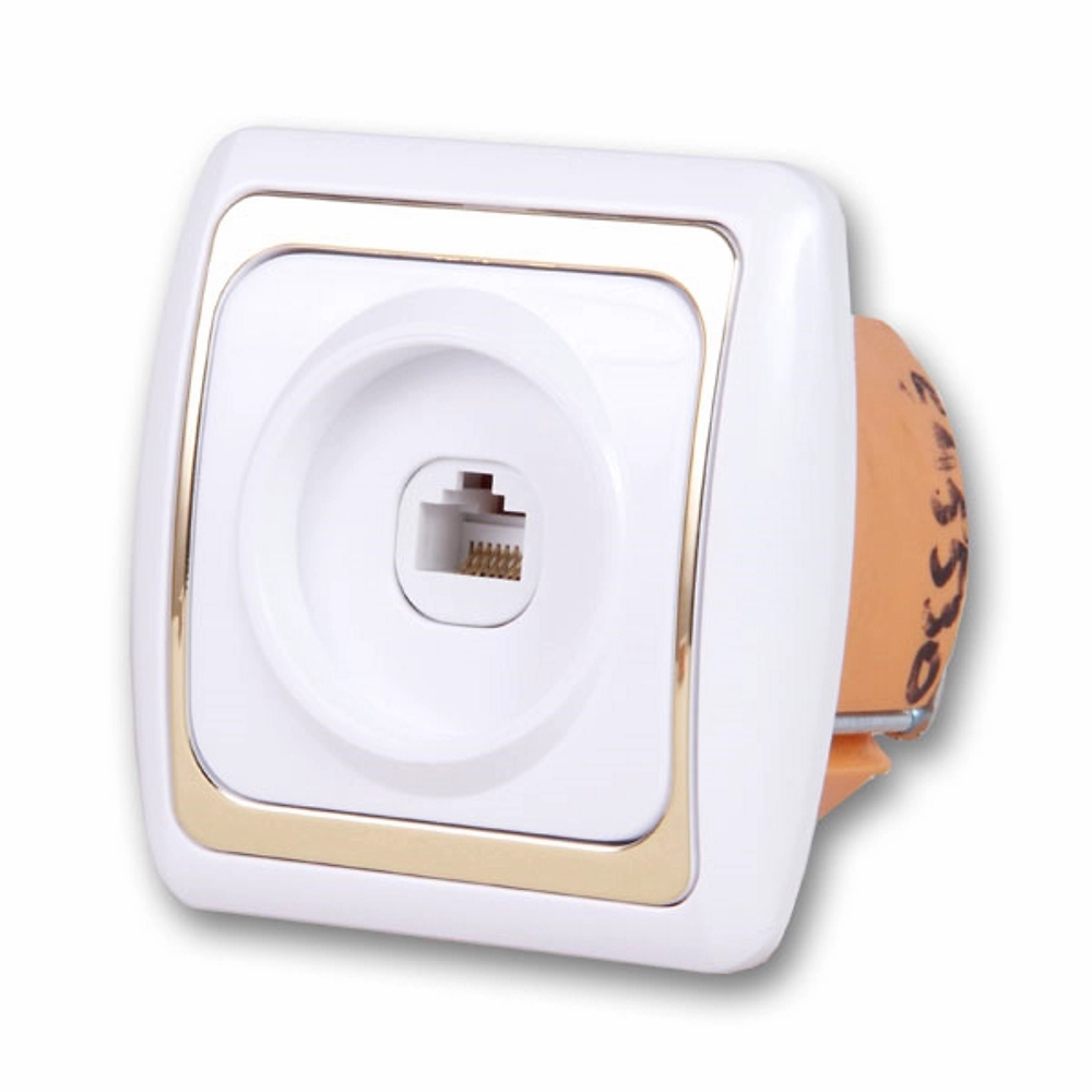 Розетка Дельта компьютерная белая с золотом