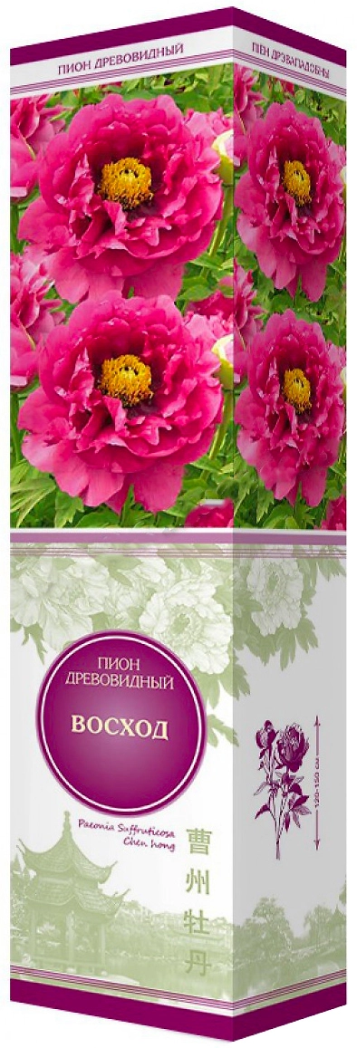 Растение Пион древовидный Восход ПОИСК