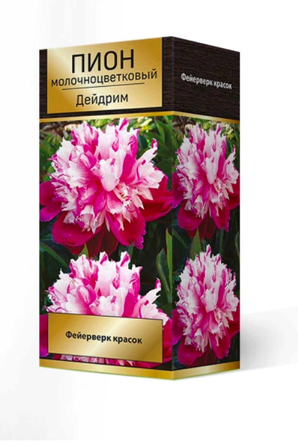 Растение Пион травянистый Дейдрим 1 шт