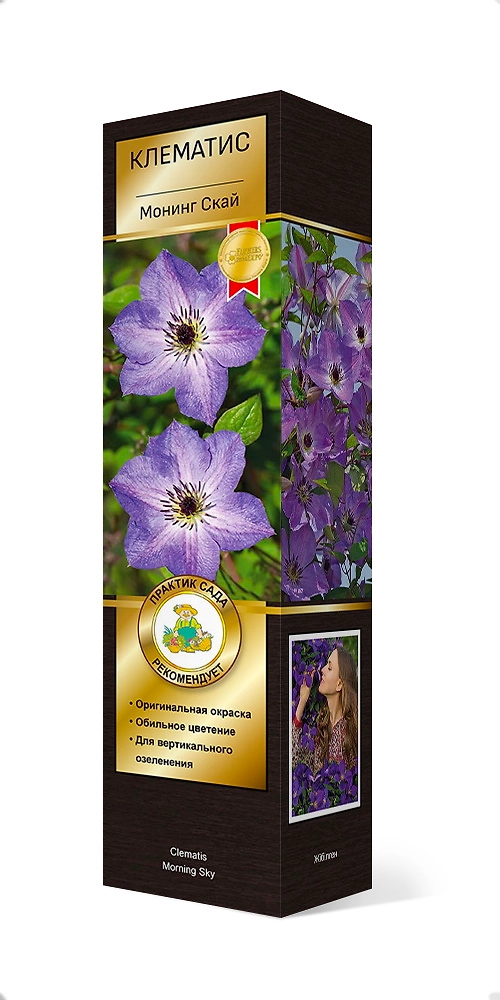 Растение Клематис Монинг Скай С1 Н37