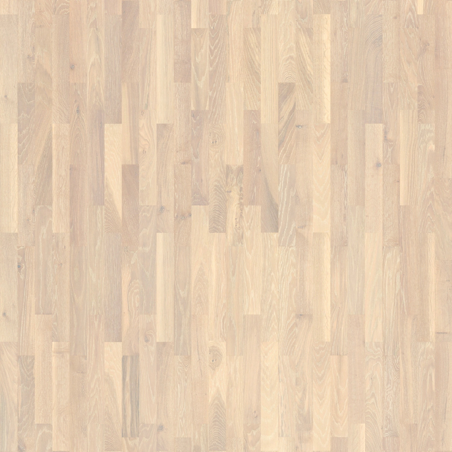 Паркетная доска Tarkett Дуб молочный трехполосная 14 мм 1,307 кв.м