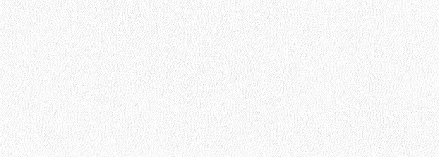 Плитка настенная Paradis белая 25х70 см