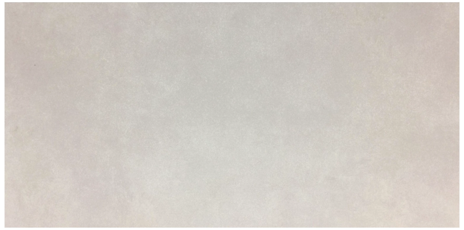 Керамогранит АТЕМ Fuji бетон светло-серый 59,5x29,5 см