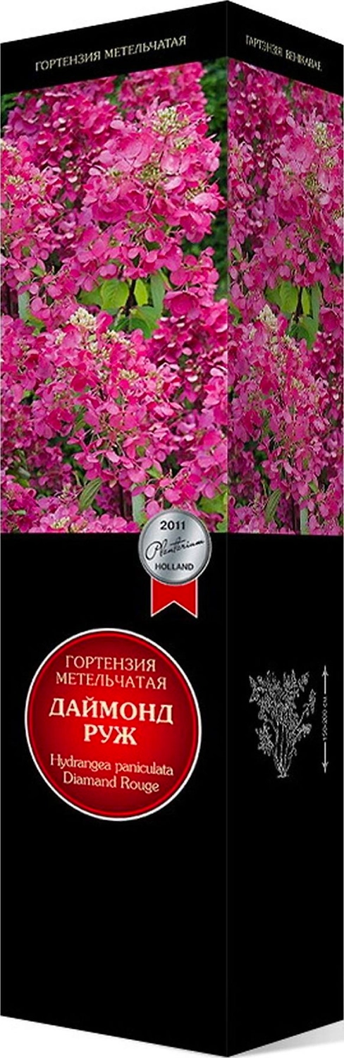 Саженец Гортензия метельчатая Даймонд Руж С1 Н37