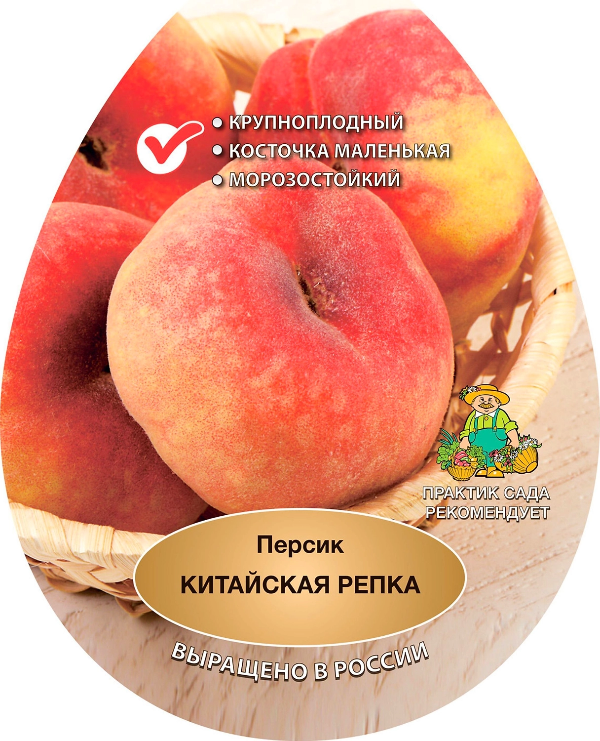 Растение Персик двухлетка ПОИСК С3 Н100 в ассортименте