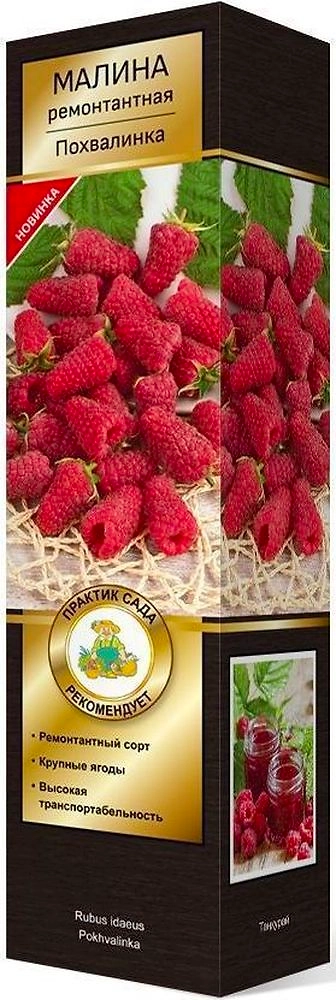 Саженец Малина Похвалинка C1 H37