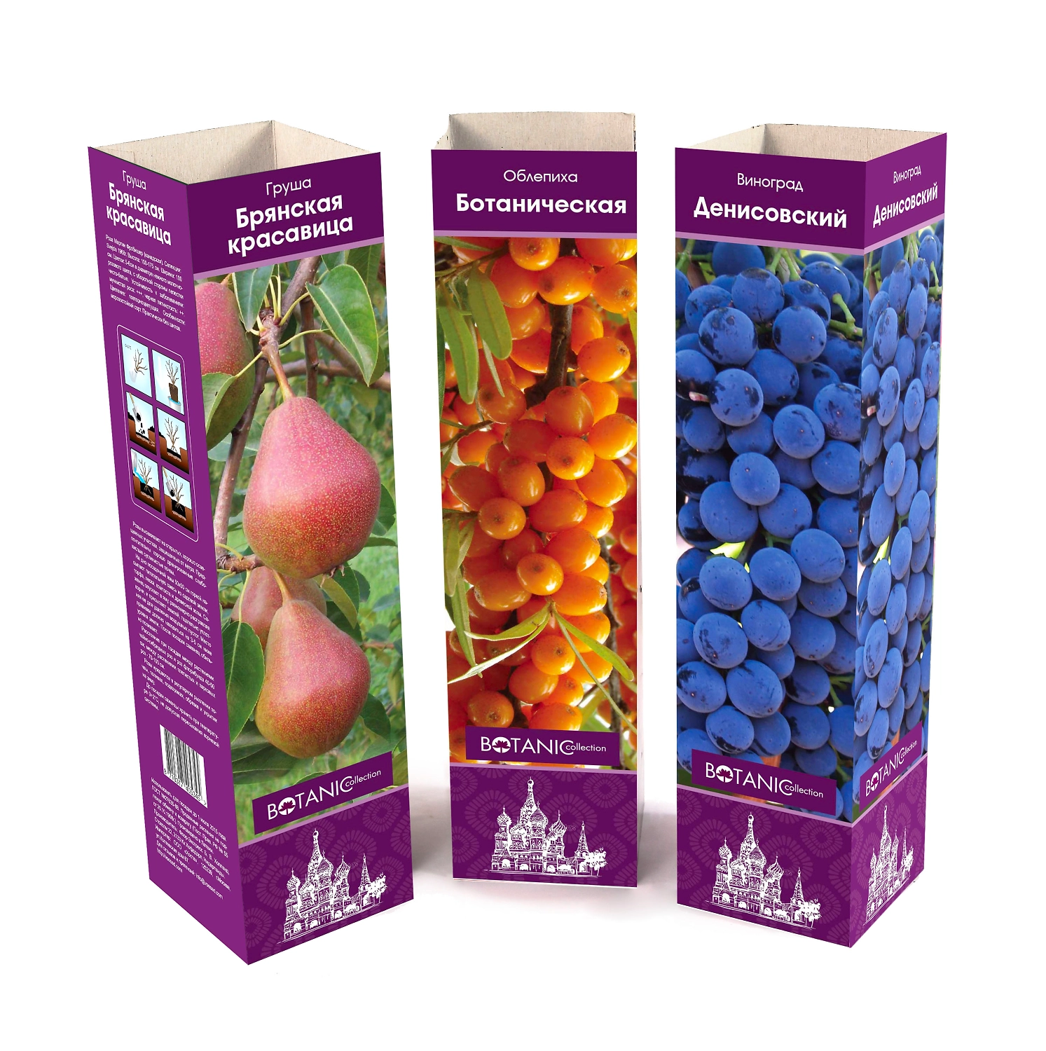 Растение Плодовые растения 7 ЦВЕТОВ Ботаник Коллекшн в коробке в ассортименте