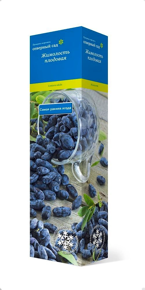 Саженец Жимолость Челябинка C1 H37