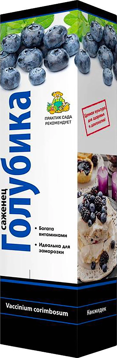 Саженец Голубика высокорослая Блюкроп С1 Н37