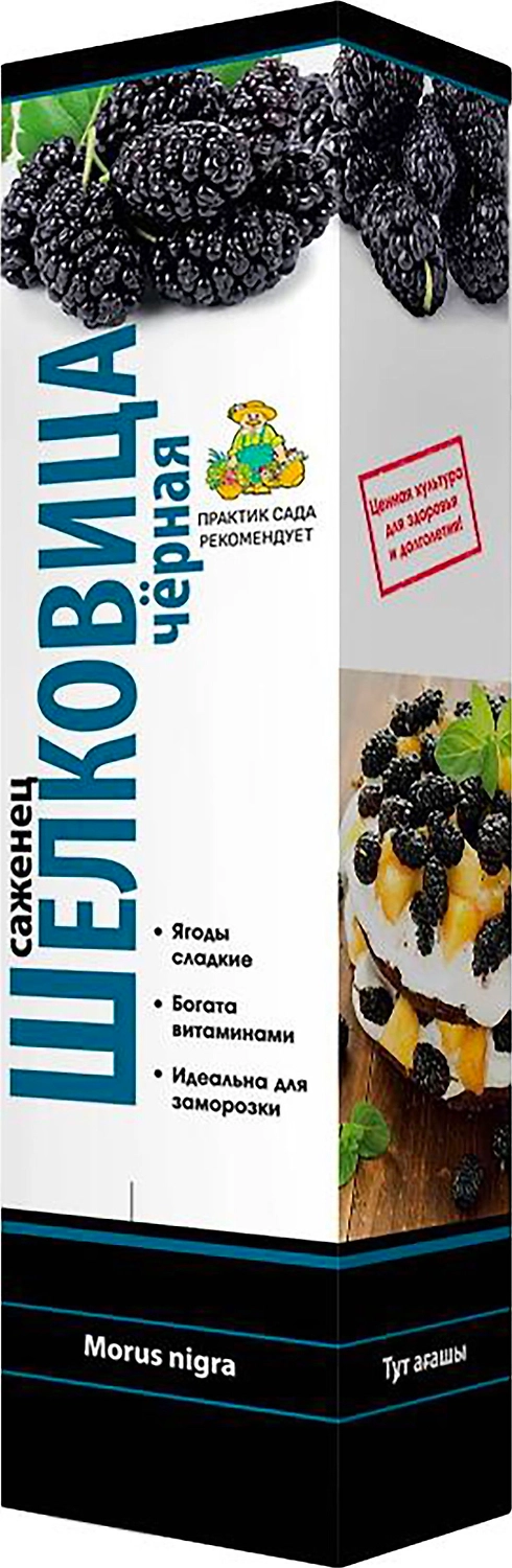 Растение Шелковица черная ПОИСК Н37