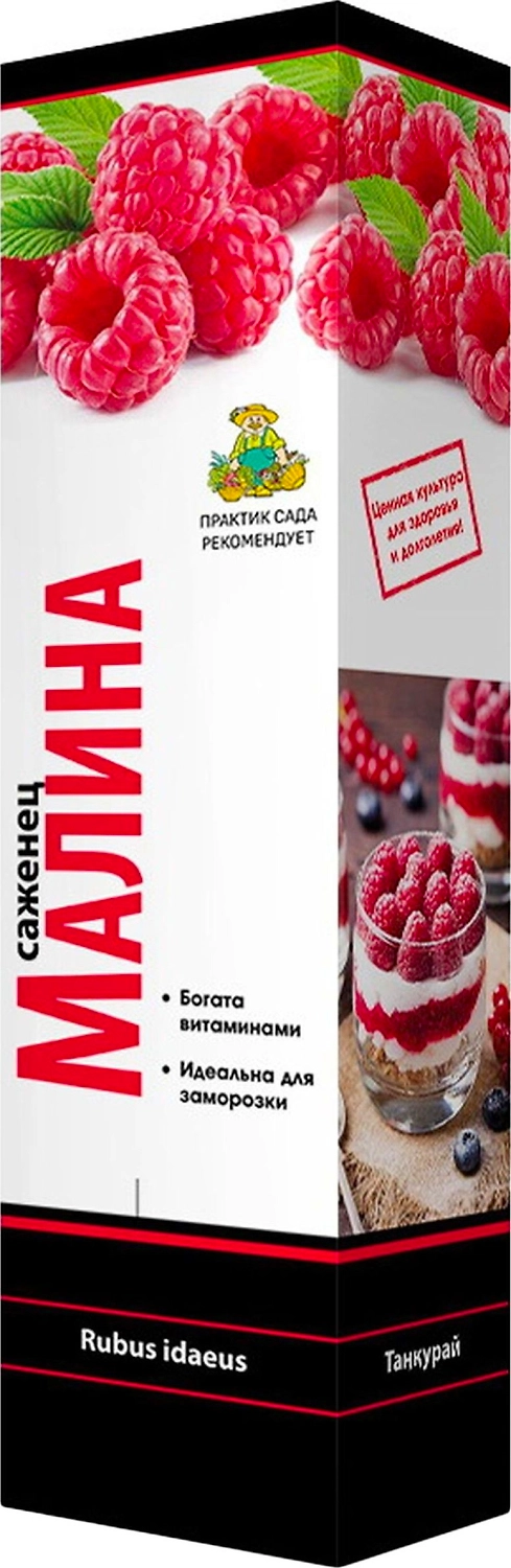 Растение Малина Желтый гигант ПОИСК С1 Н37