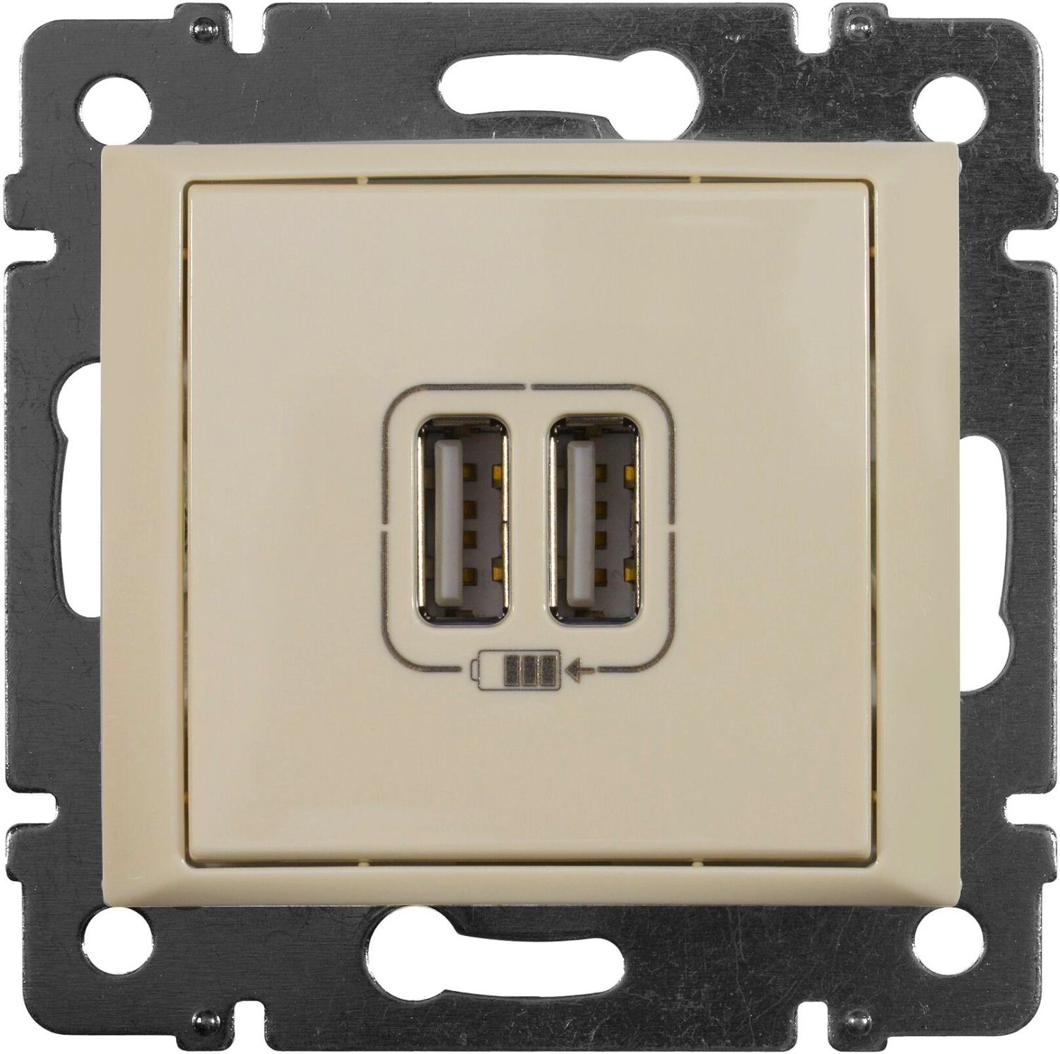 Двойная розетка Legrand Valena 694372 2xUSB 