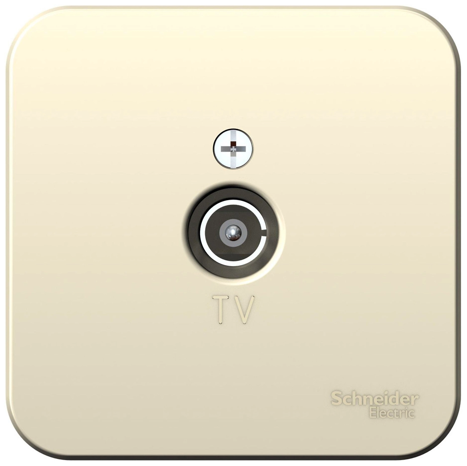 Розетка Schneider Electric Blanca BLNTA000012