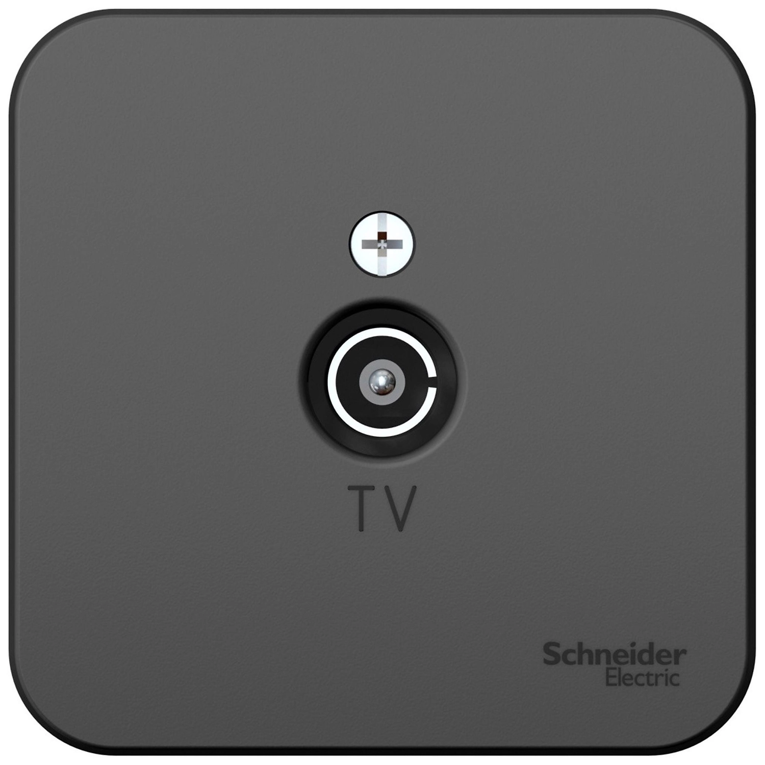 Розетка Schneider Electric Blanca BLNTA000016