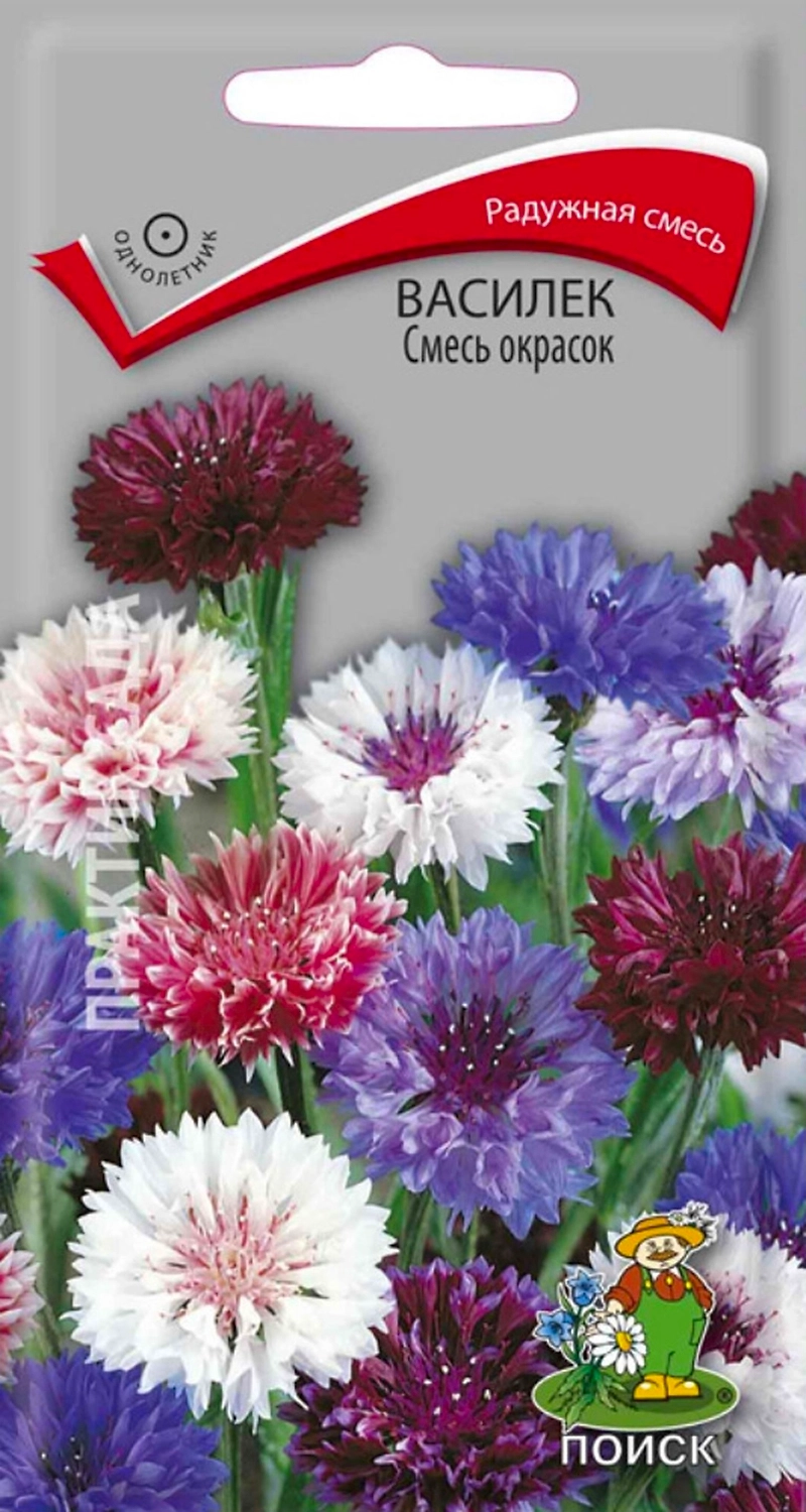 Семена Василька ПОИСК Смесь окрасок 1 г