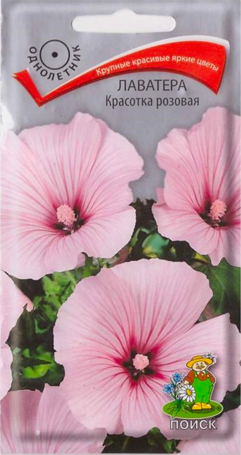 Семена Лаватеры ПОИСК Красотка розовая 0,3 г