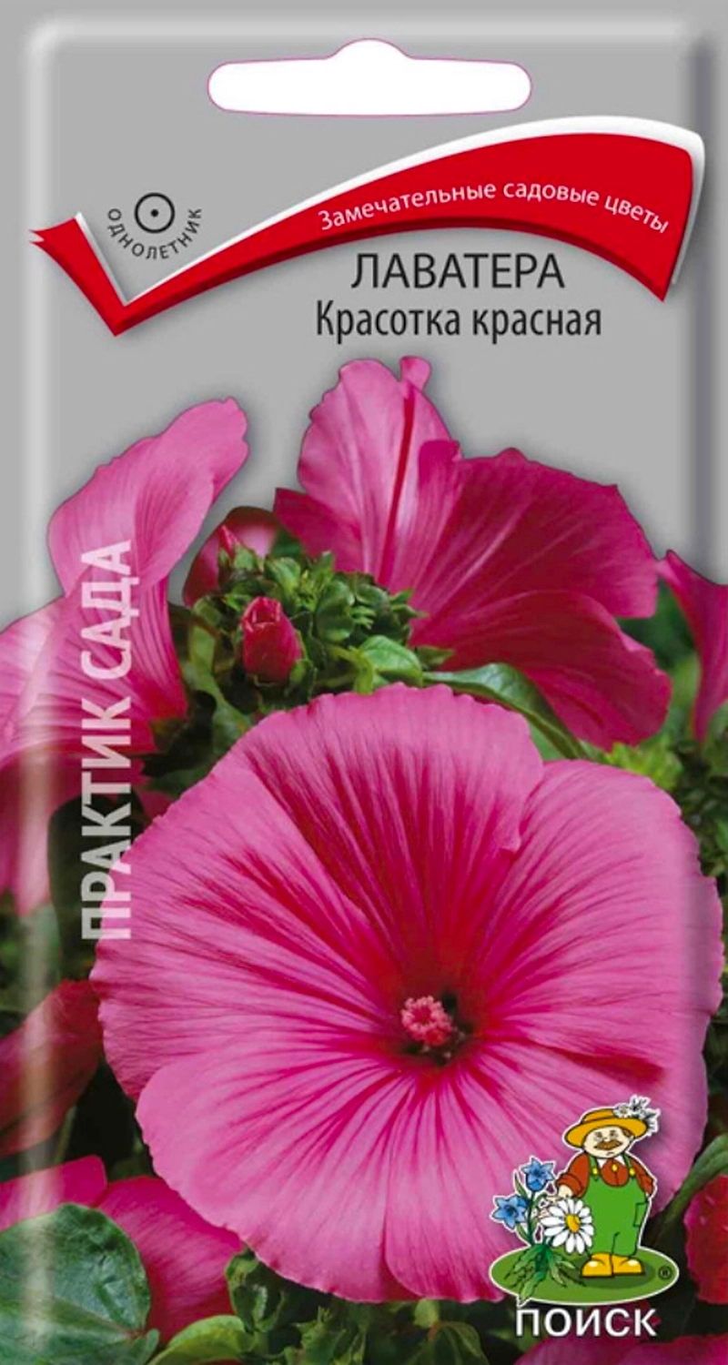 Семена Лаватеры ПОИСК Красотка красная 0,3 г