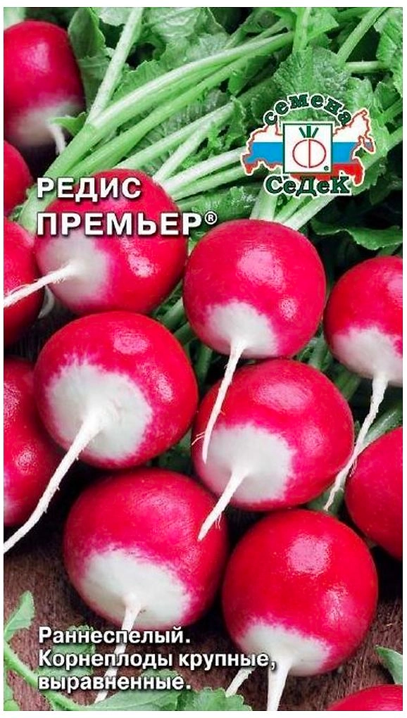 Семена Редиса СеДеК Премьер 3 г