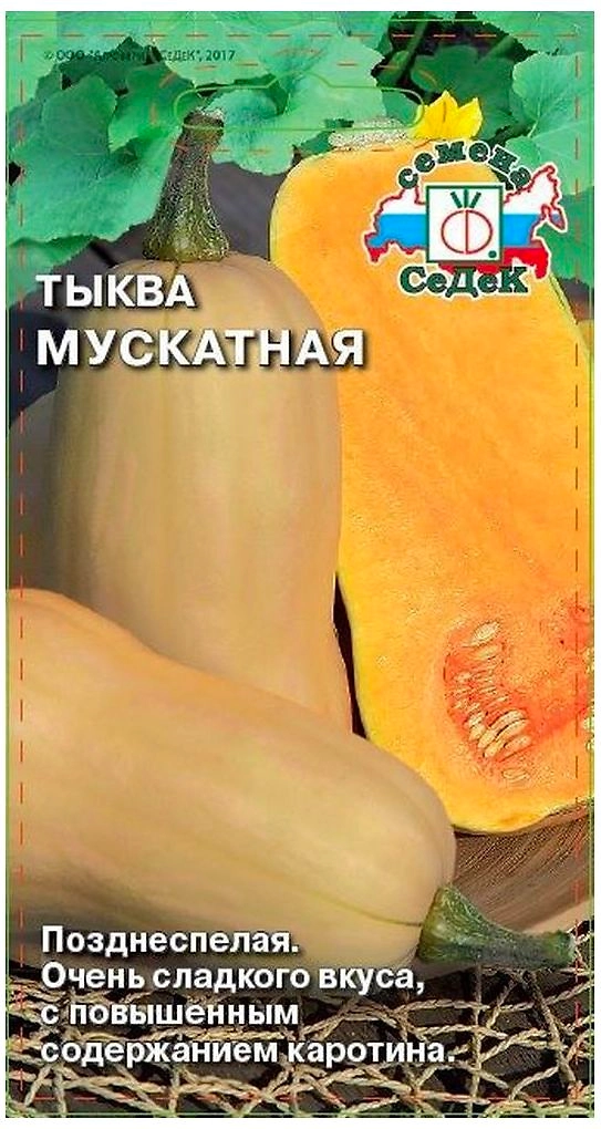 Семена Тыквы СеДеК Мускатная 2 г