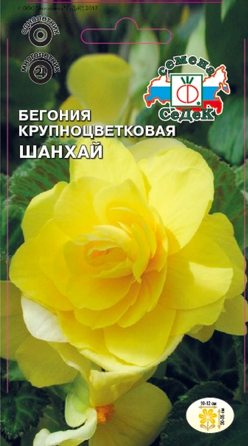 Семена Бегонии СеДеК Шанхай 10 г