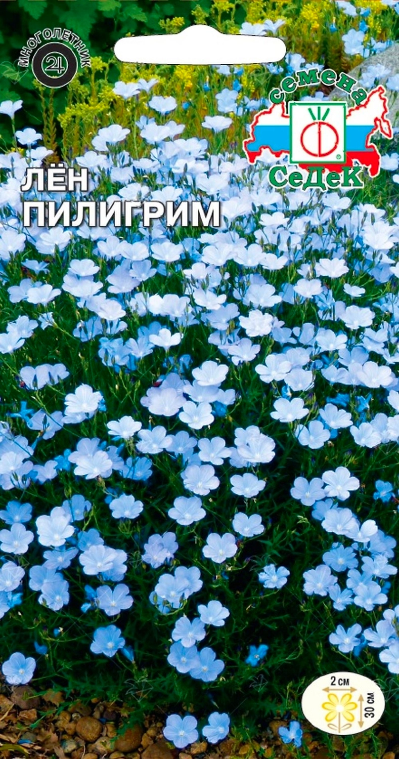 Семена Льна СеДеК Пилигрим махровый 0,1 г