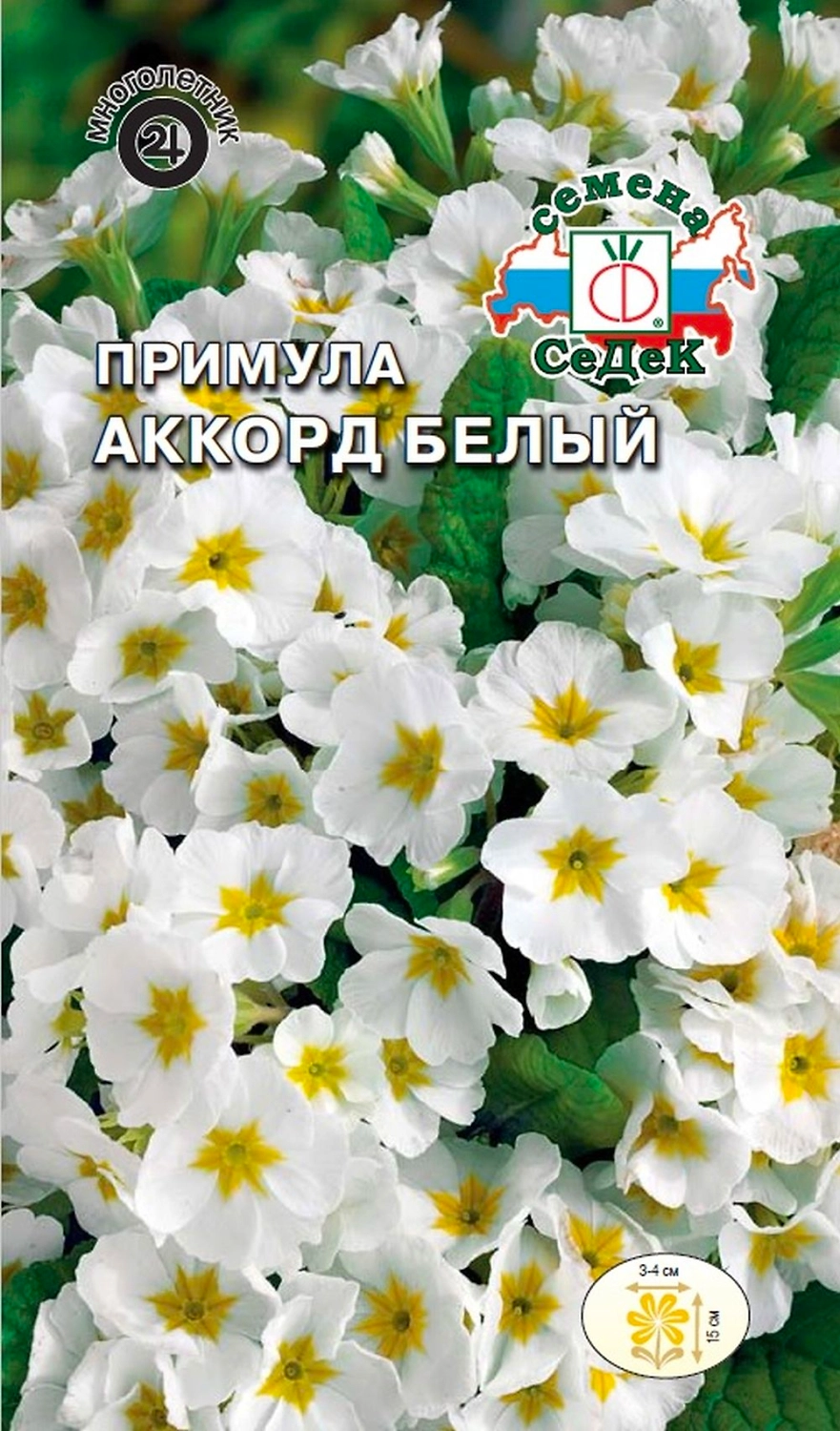 Семена Примулы СеДеК Аккорд 5 г